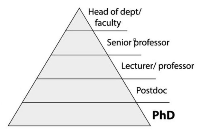 phd c'est quoi